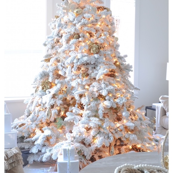 Meet your Posher, Melissa - Picture 1 of 1